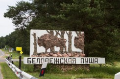 Иностранцам разрешили посещать Беловежскую пущу без виз