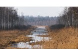 Национальный парк «Беловежская пуща»